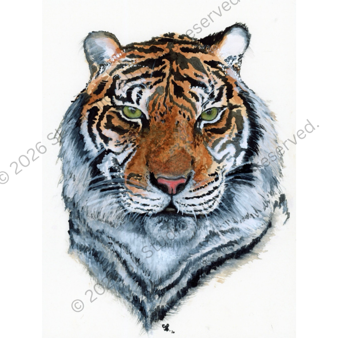 "Big Cat." Watercolor, 2026.