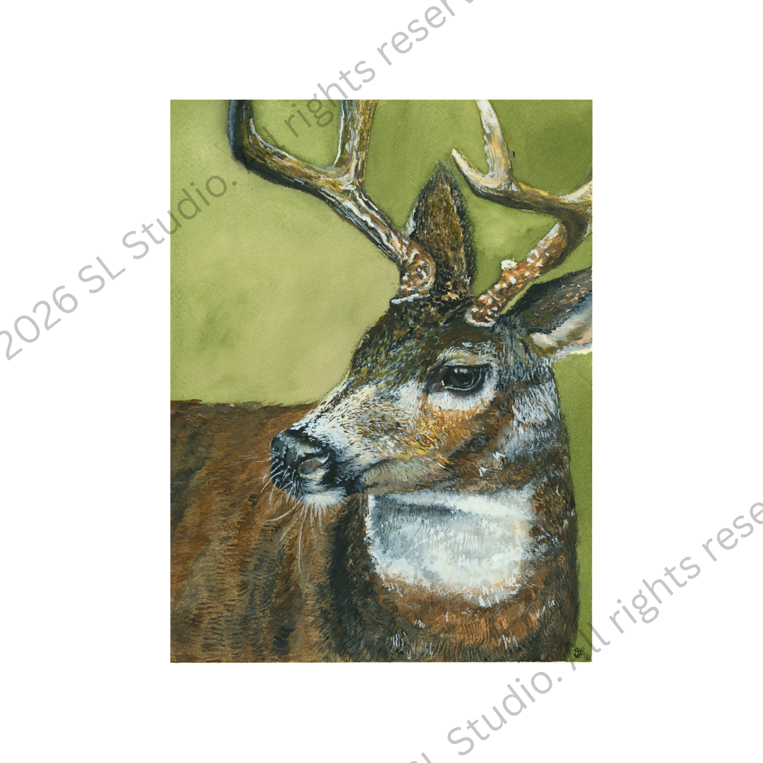 "Oh Deer!" Watercolor, 2026.
