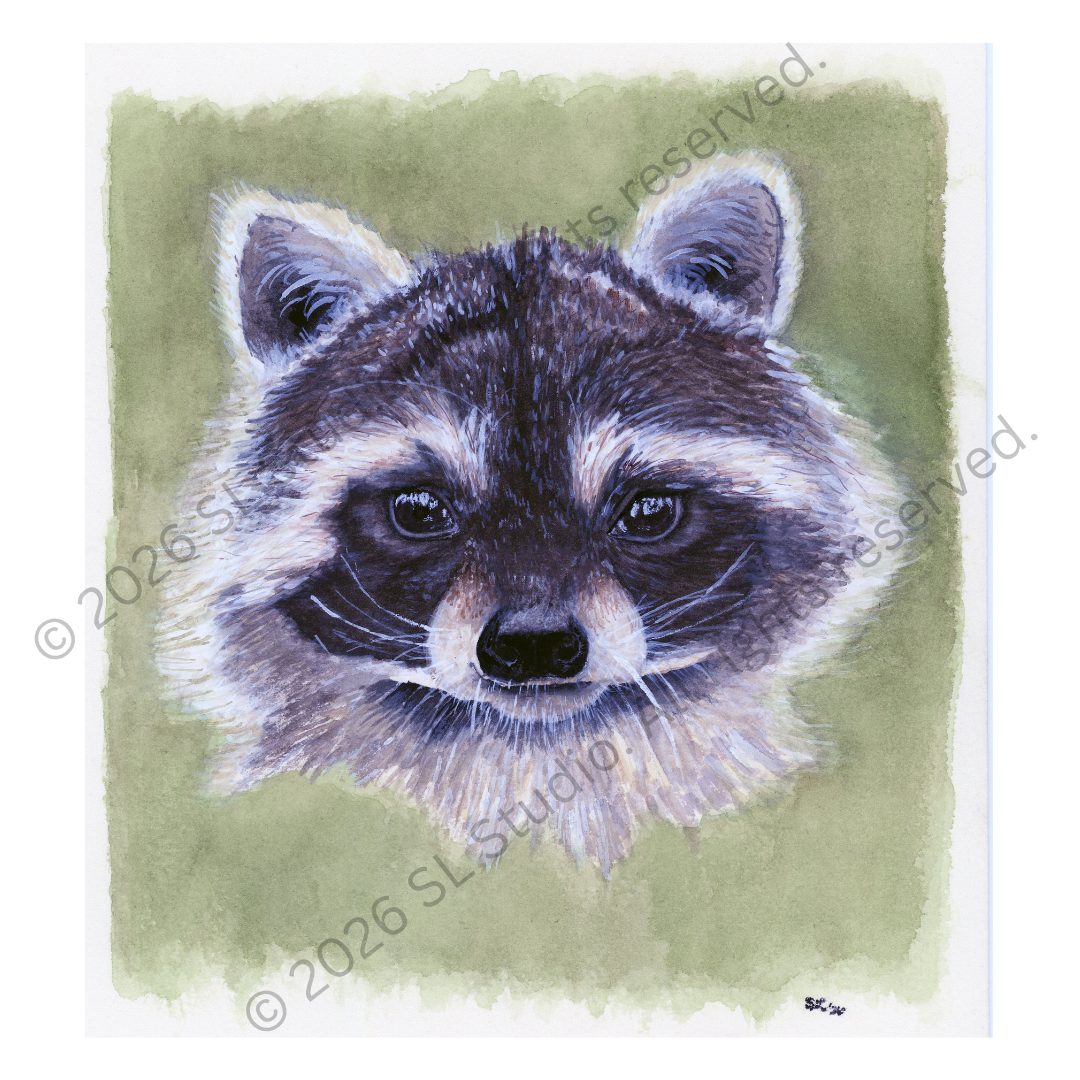 "The Bandit." Watercolor, 2026.