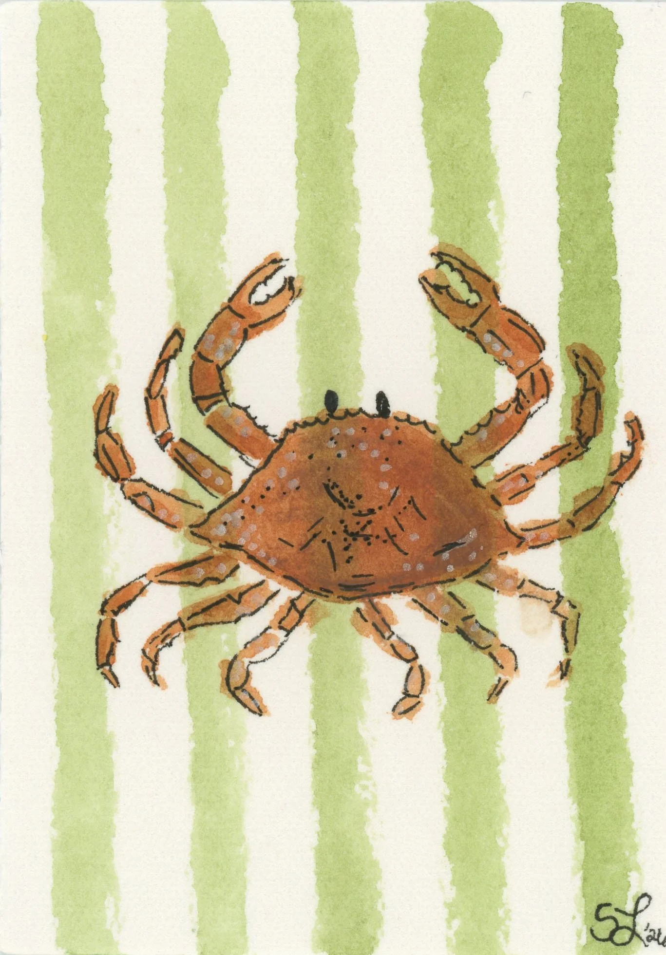 crabby.jpg