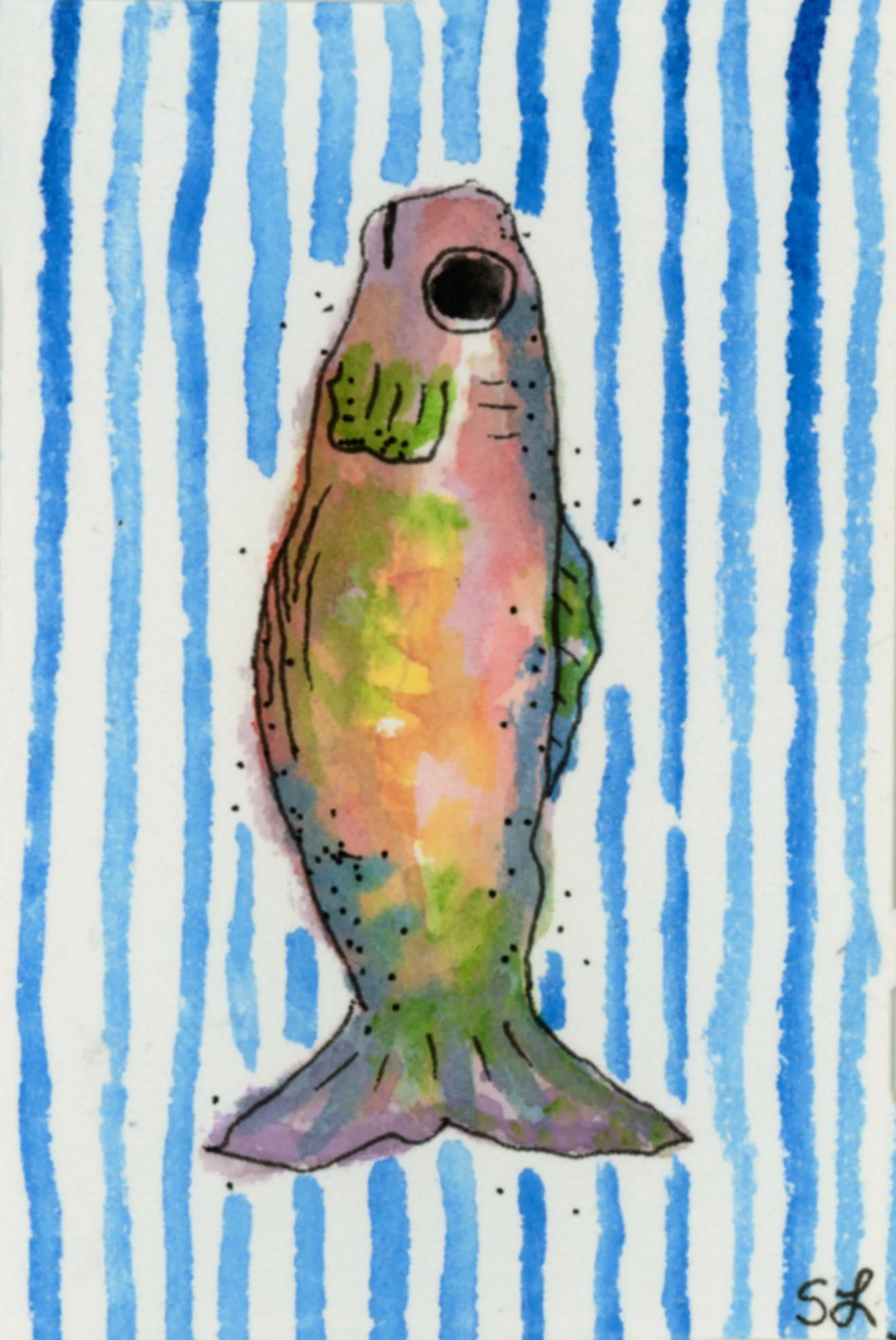 fish.jpg