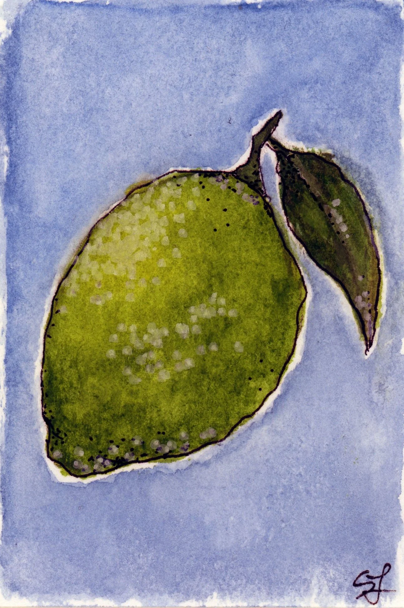 lime.jpg
