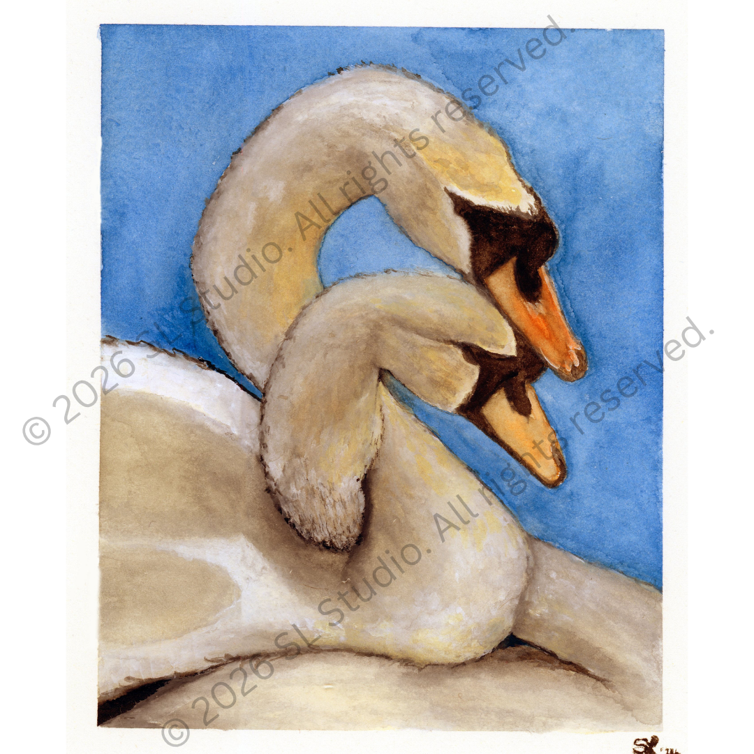 "Lover Swans." Watercolor, 2026.
