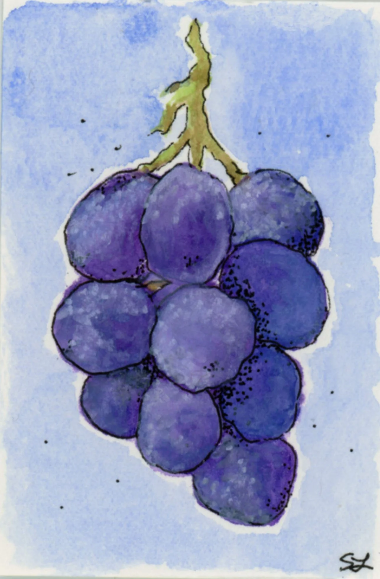 grapes.jpg