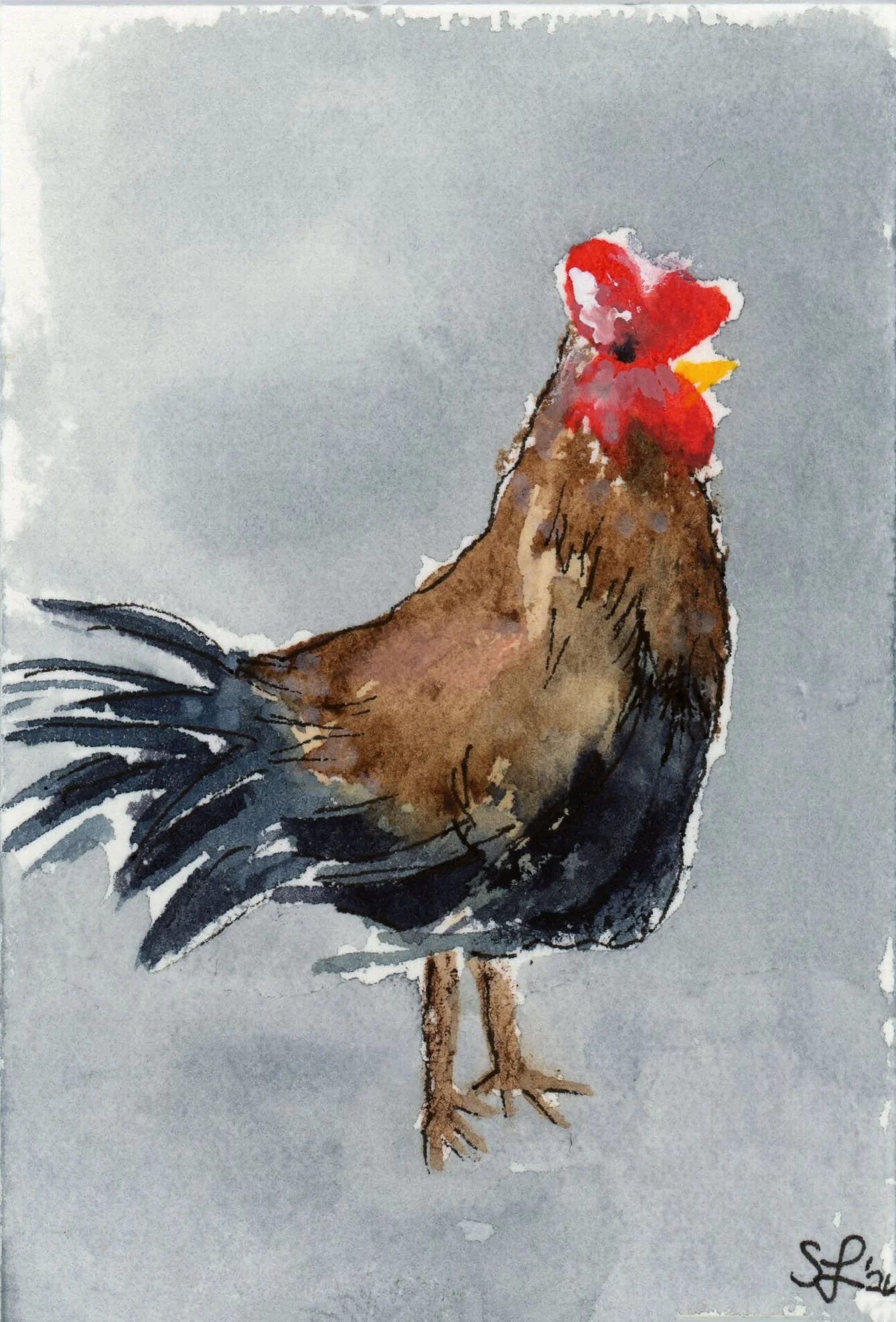 cool chicken.jpg