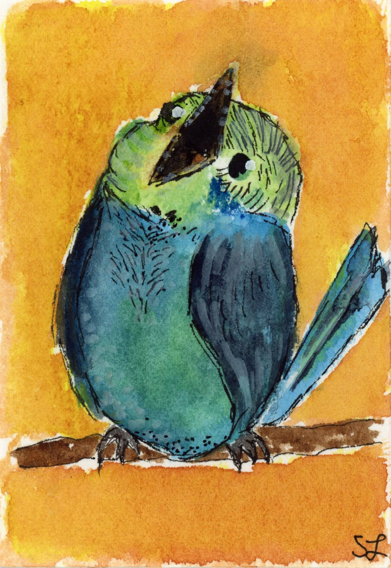 song bird.jpg