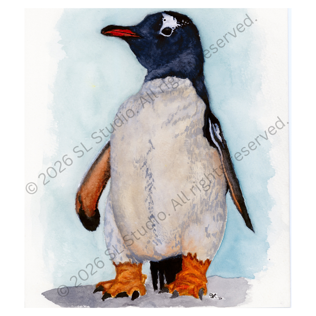 "The Finest Dressed." Watercolor, 2026.