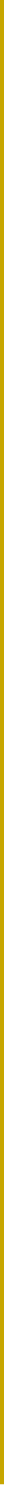 vertical gold-colored line
