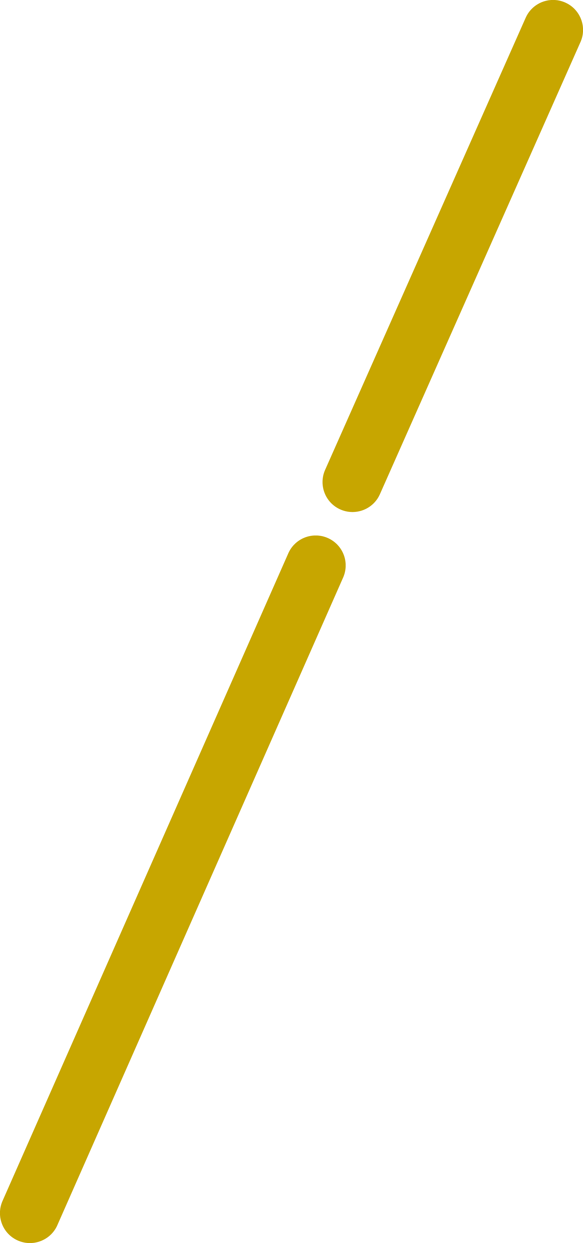 diagonal gold-colored lines