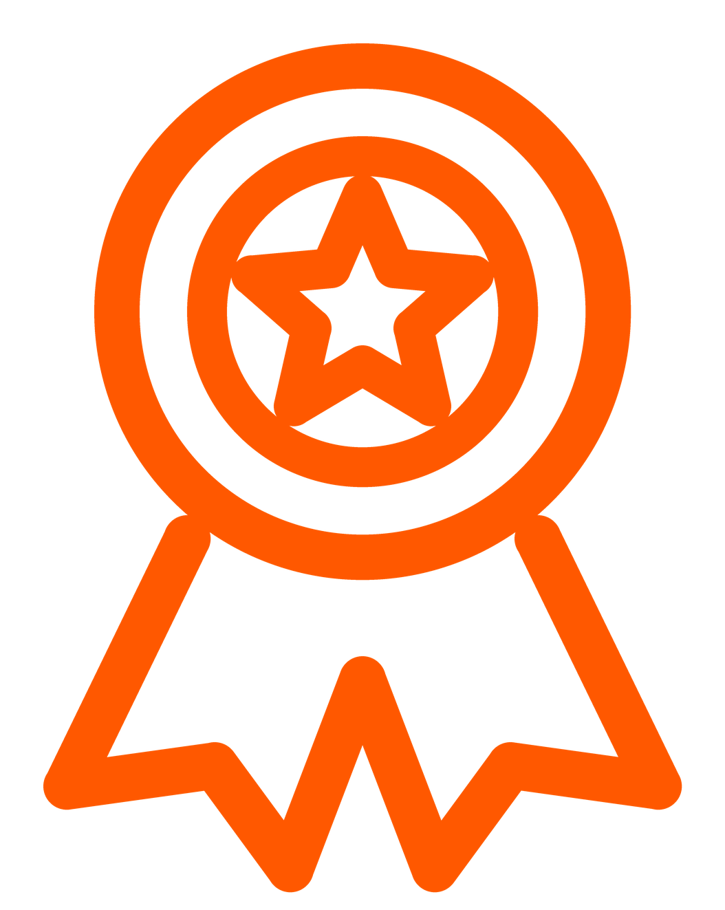 Orange award ribbon with a star inside a circle at the top, and a ribbon hanging below.