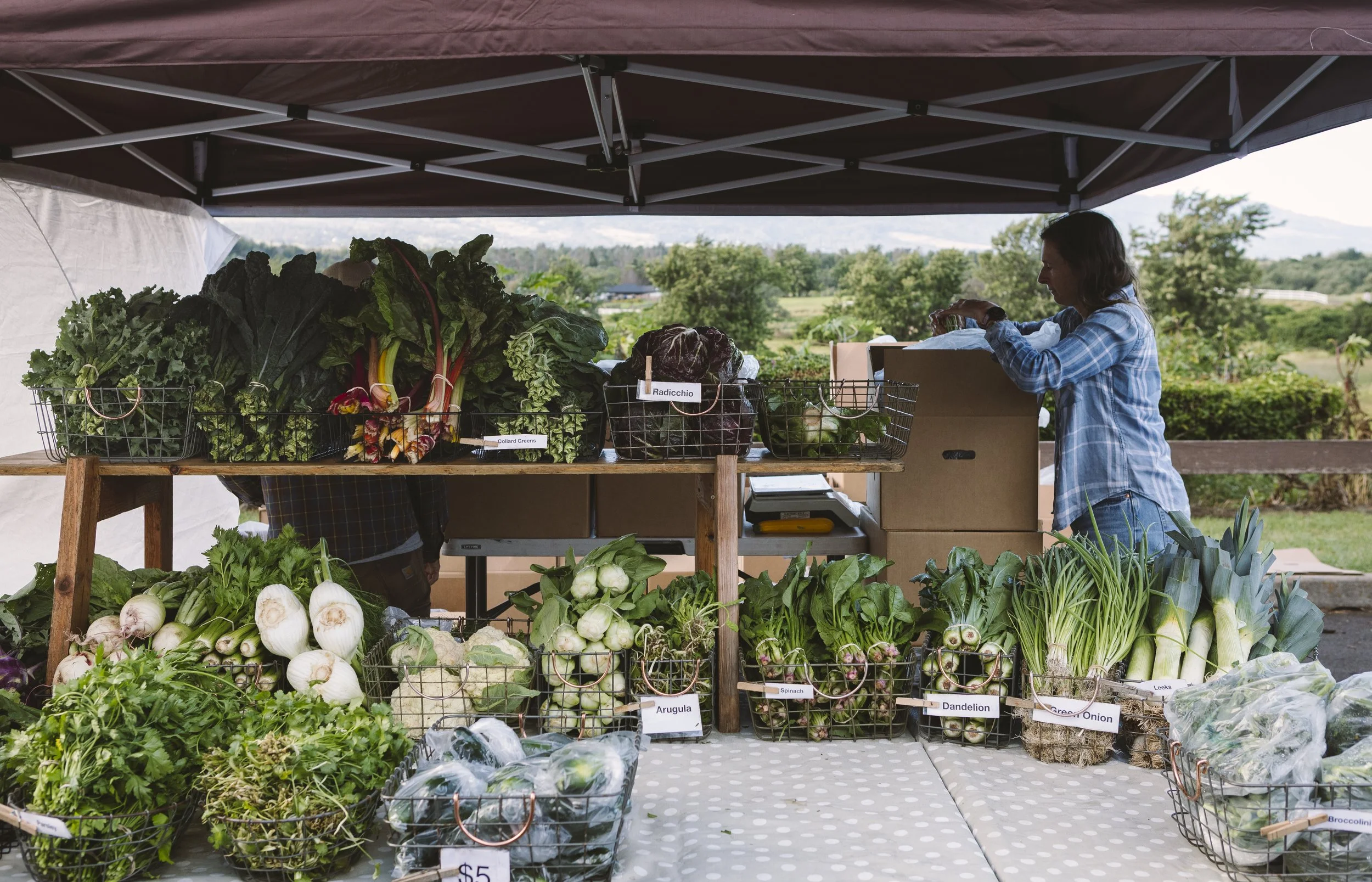 Keokea Fields at the Upcountry Farmers Market, Maui