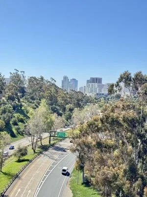 A cityscape view from a park with a winding road, trees, and tall buildings in the background under a clear blue sky.