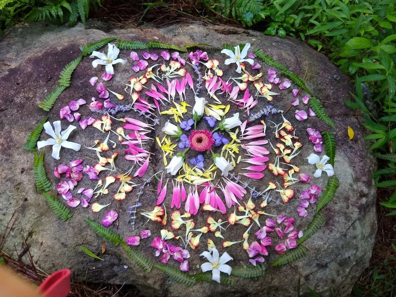 A circular mandala made of colorful flowers and ferns arranged on a mossy rock outdoors