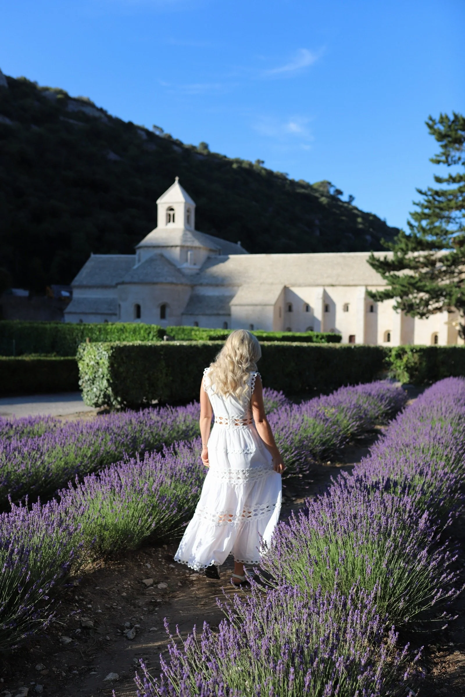 Woman in a white dress walking through a lavender field with a church and mountains in the background.