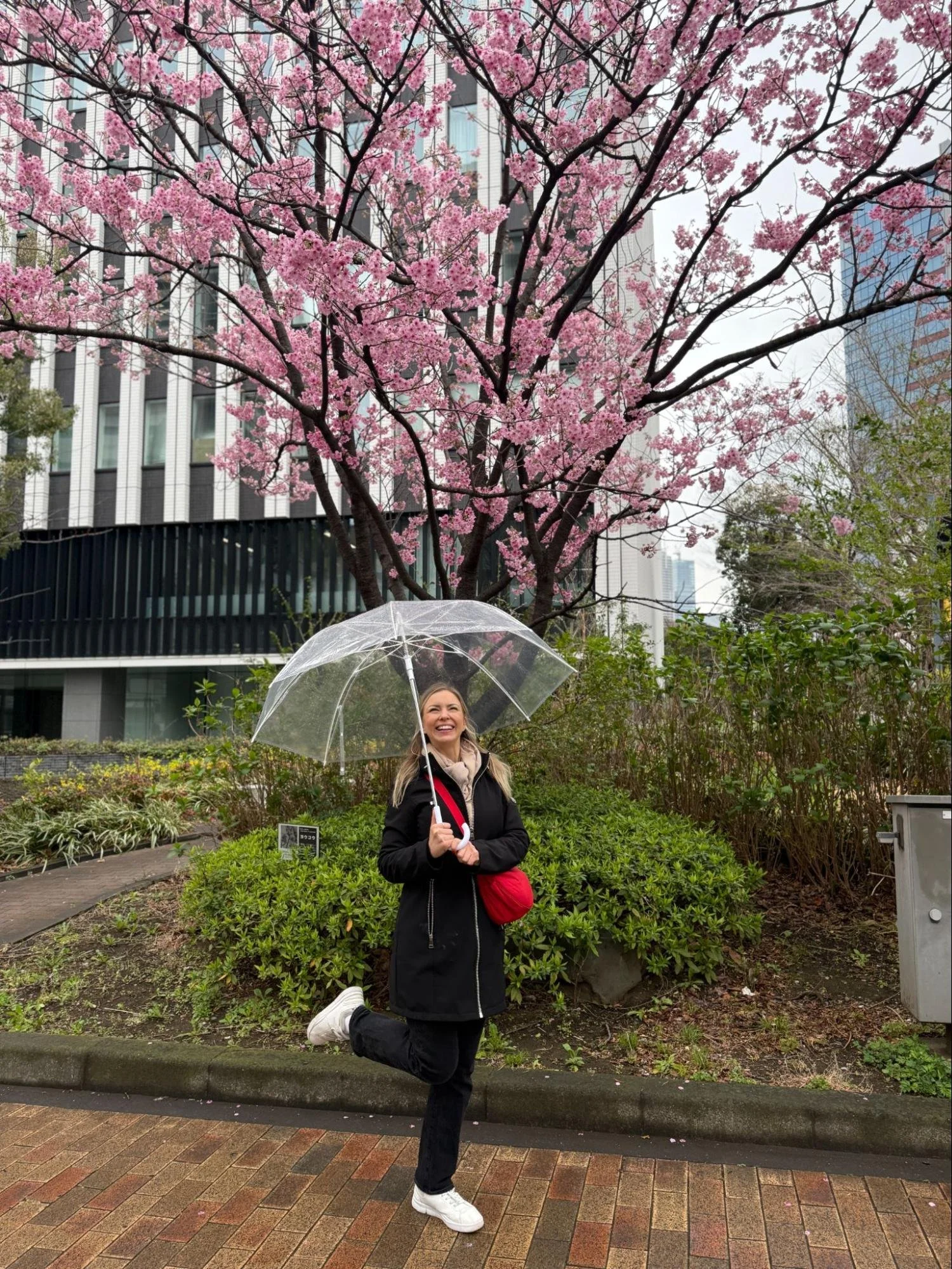Japan: Play Should Be the Center of Our Lives. Take a Whirl with Me to Taiwan and Japan