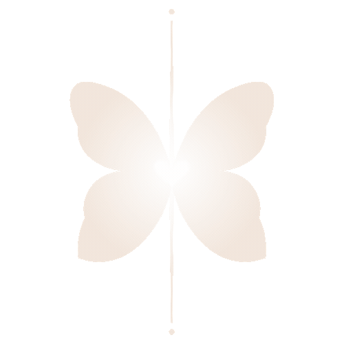 A white butterfly silhouette centered on a light gray background with a vertical line dividing it into two halves.
