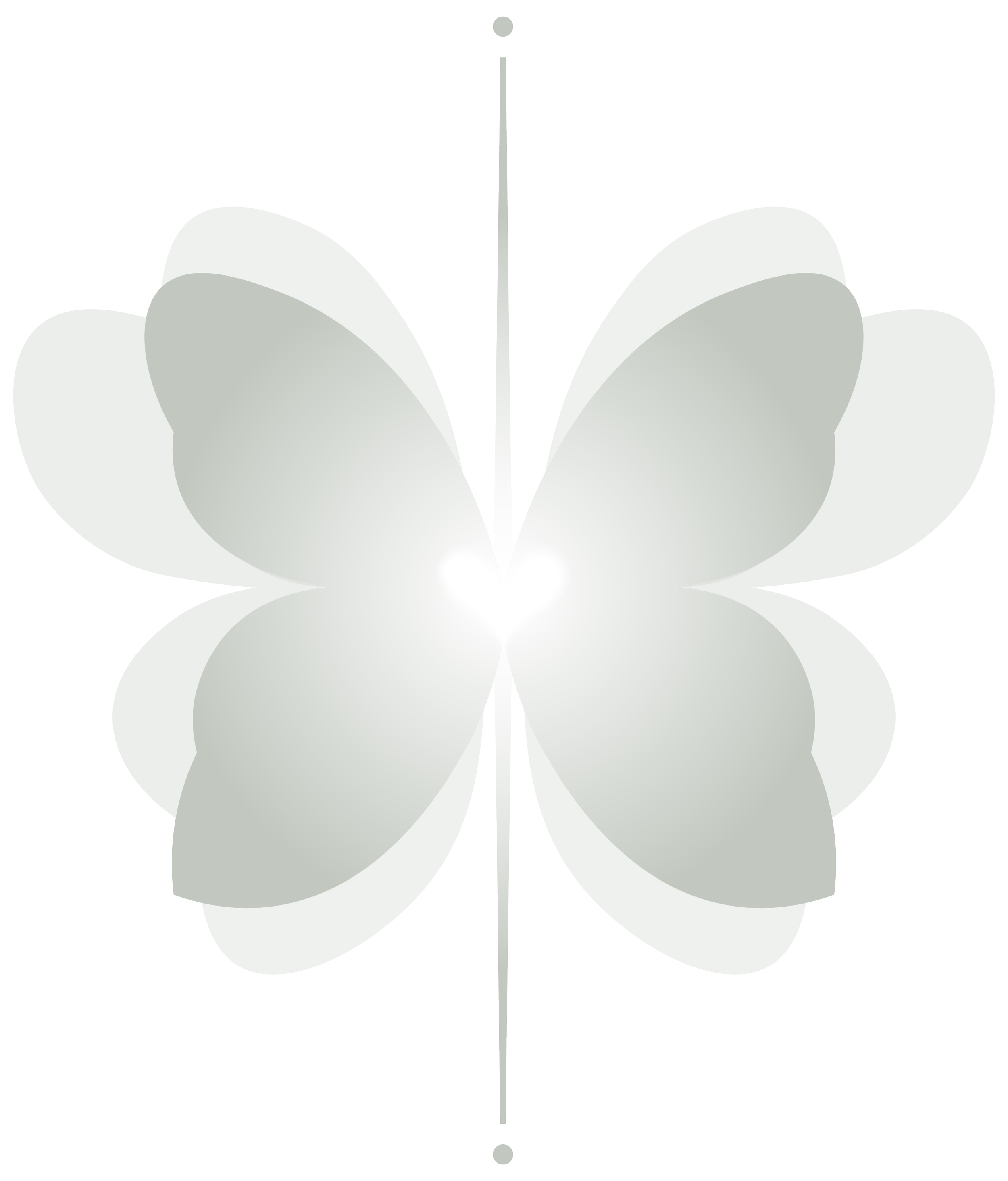 A close-up view of a butterfly with light gray wings and a faint gradient, viewed from the top, on a white background.