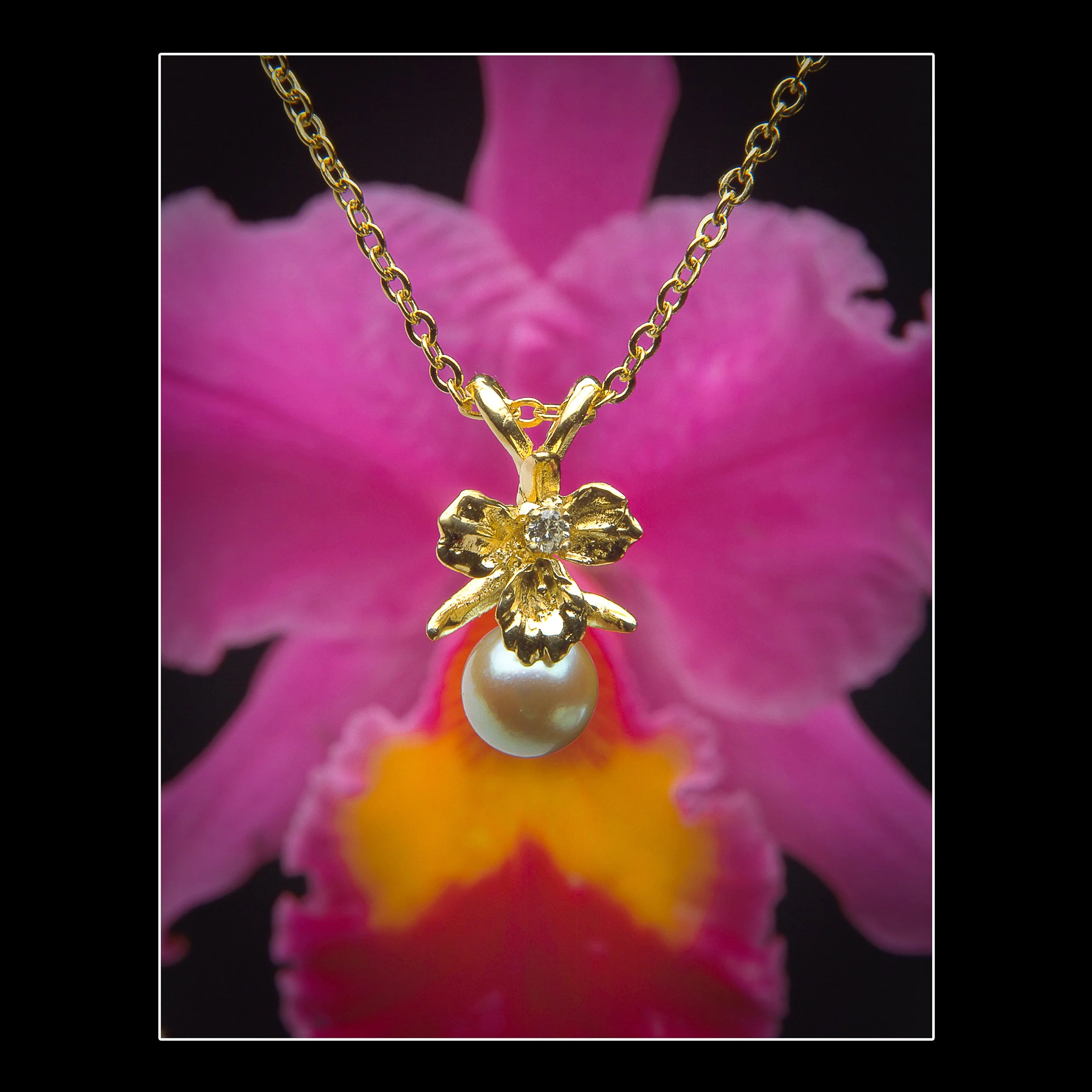 Commercial Photography-52.jpg