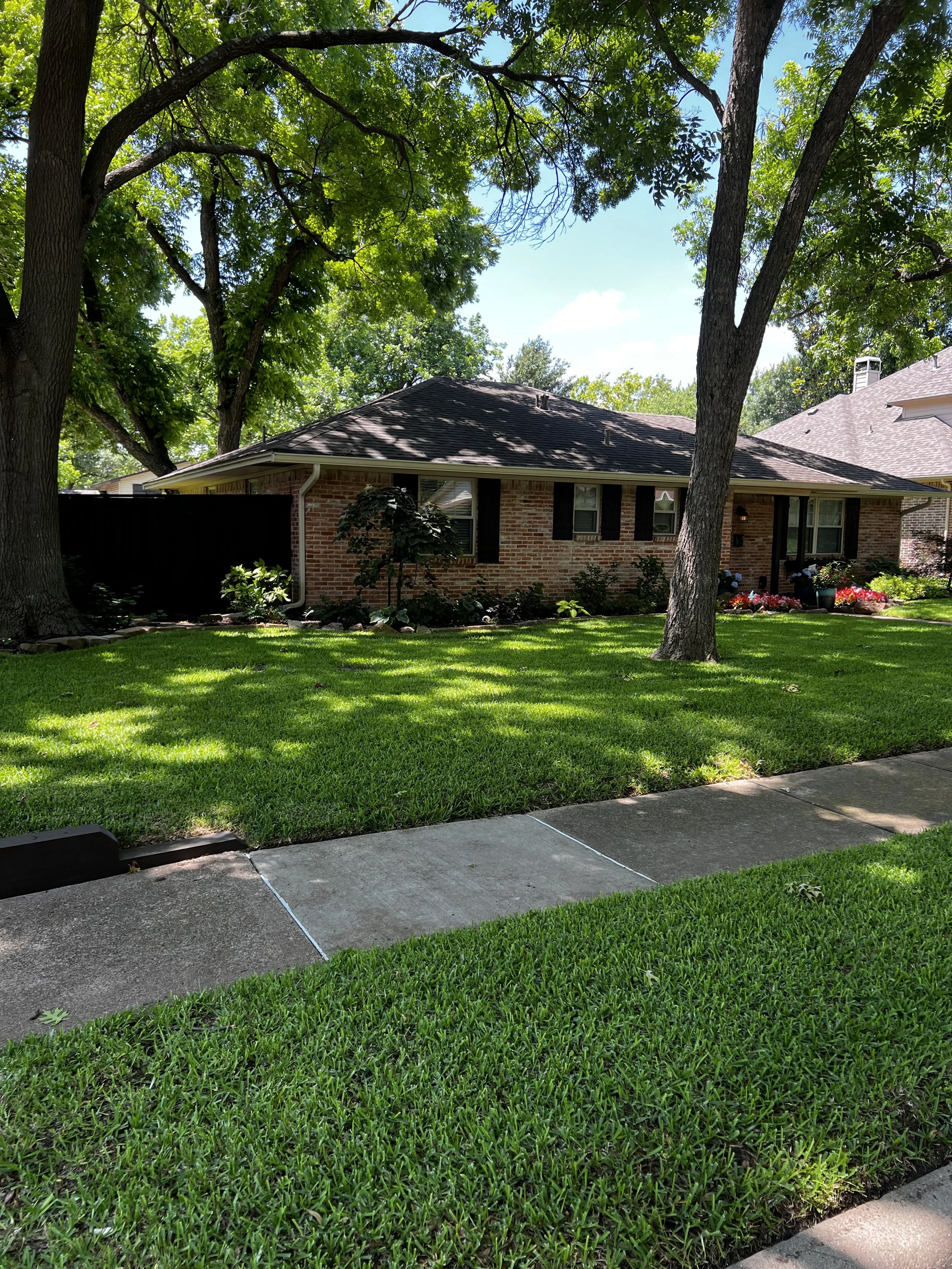 Front yard of a house with green grass, trees, a brick house with windows, flowers, and a concrete sidewalk.