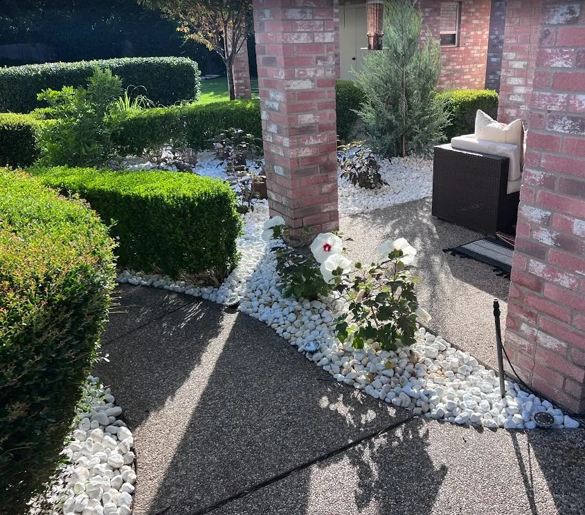 A residential yard with a brick house, trees, a grass lawn, a sidewalk, and a black border wall along the yard edge.