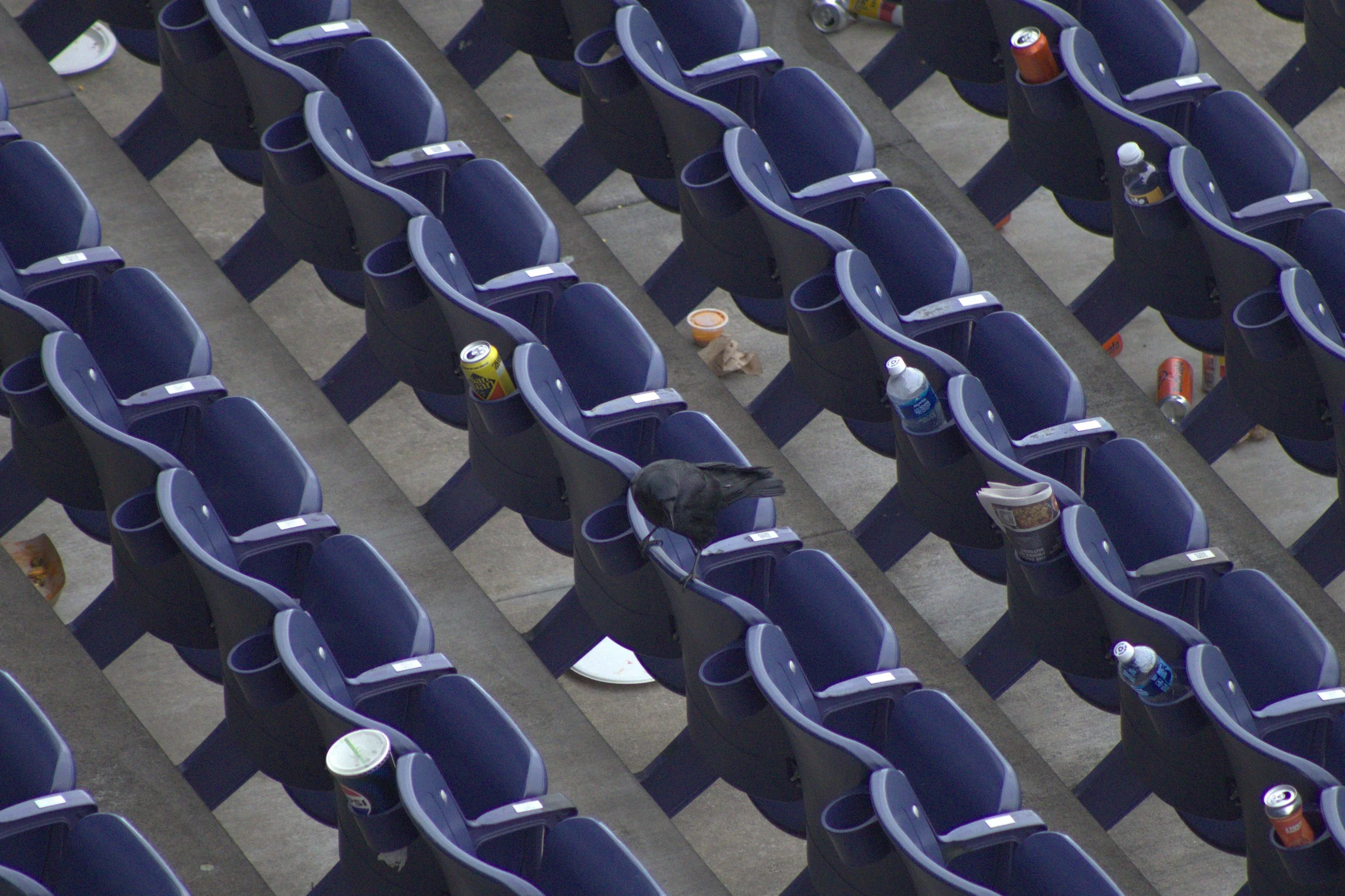 Cleaning Husky Stadium After a Football Game (2025)