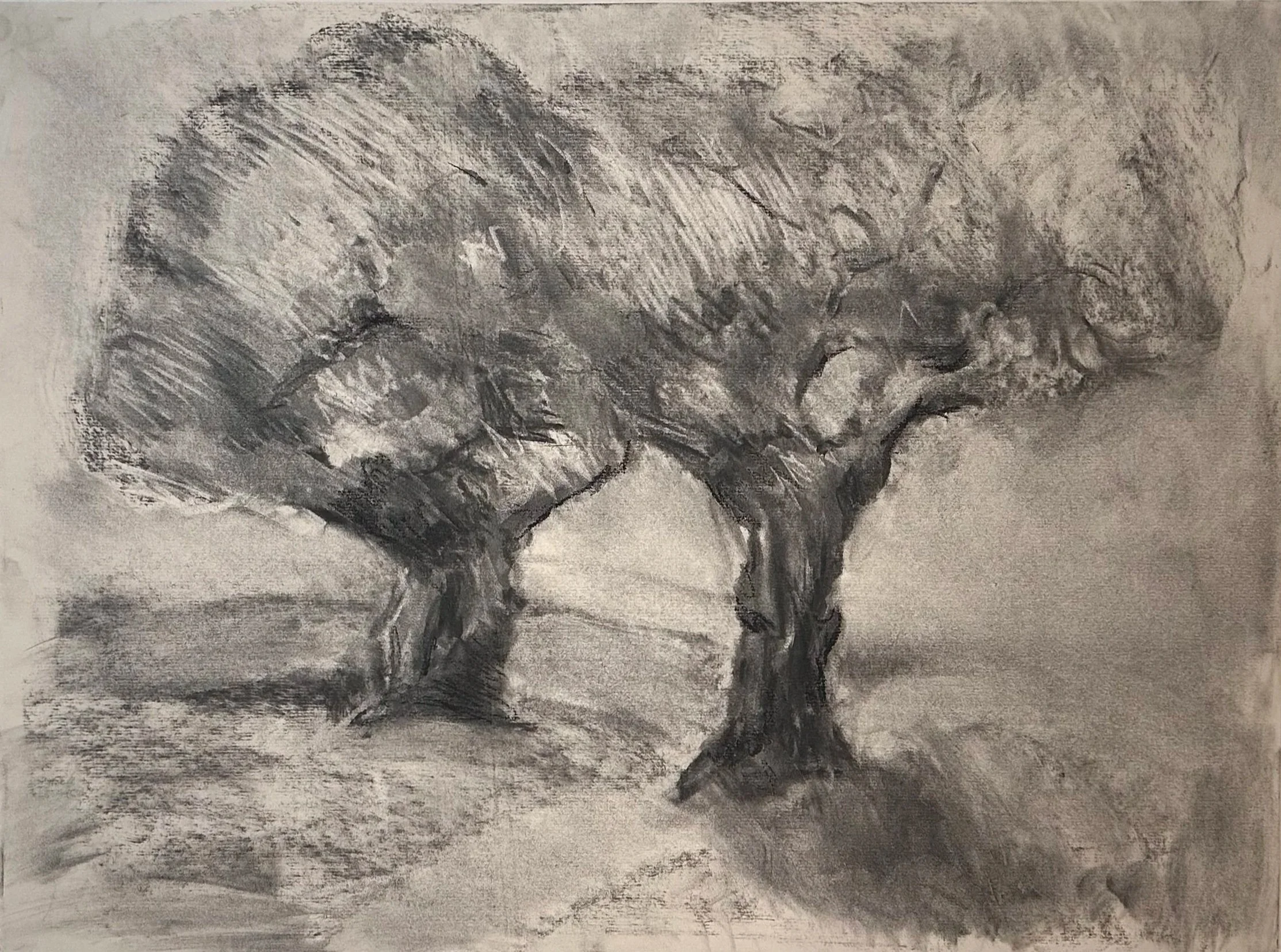 Charcoal on Newsprint