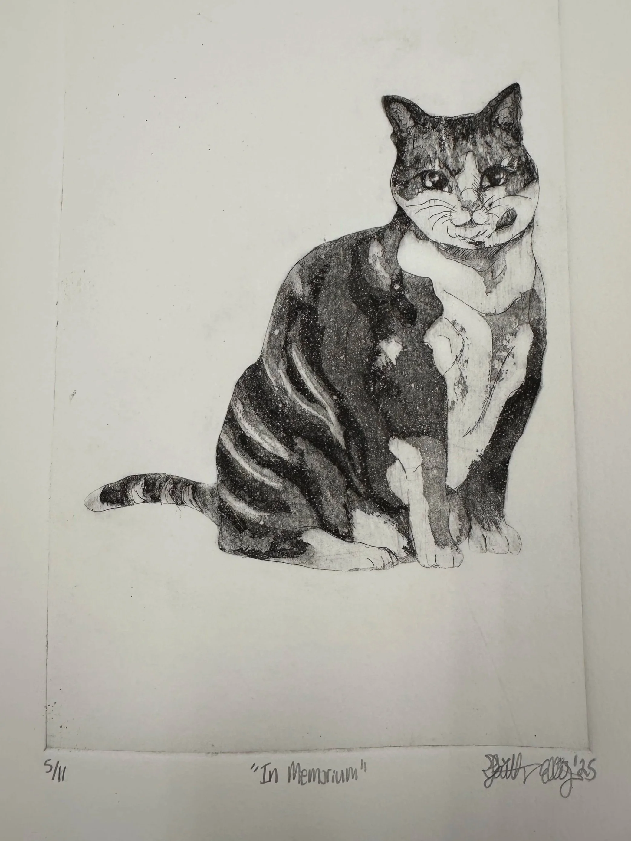Hard Ground and Aquatint Copper Etching on Paper