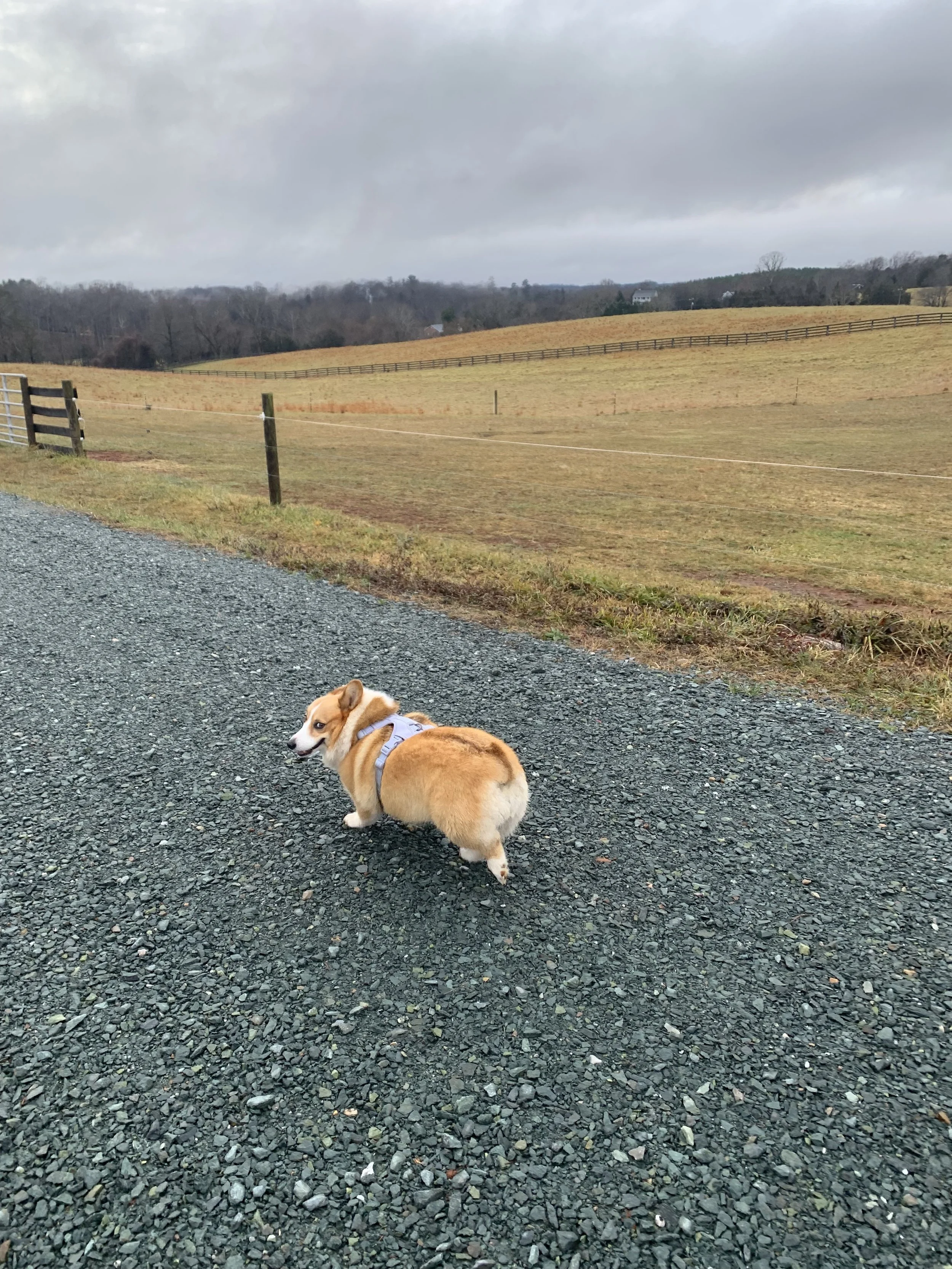 Private Walk
