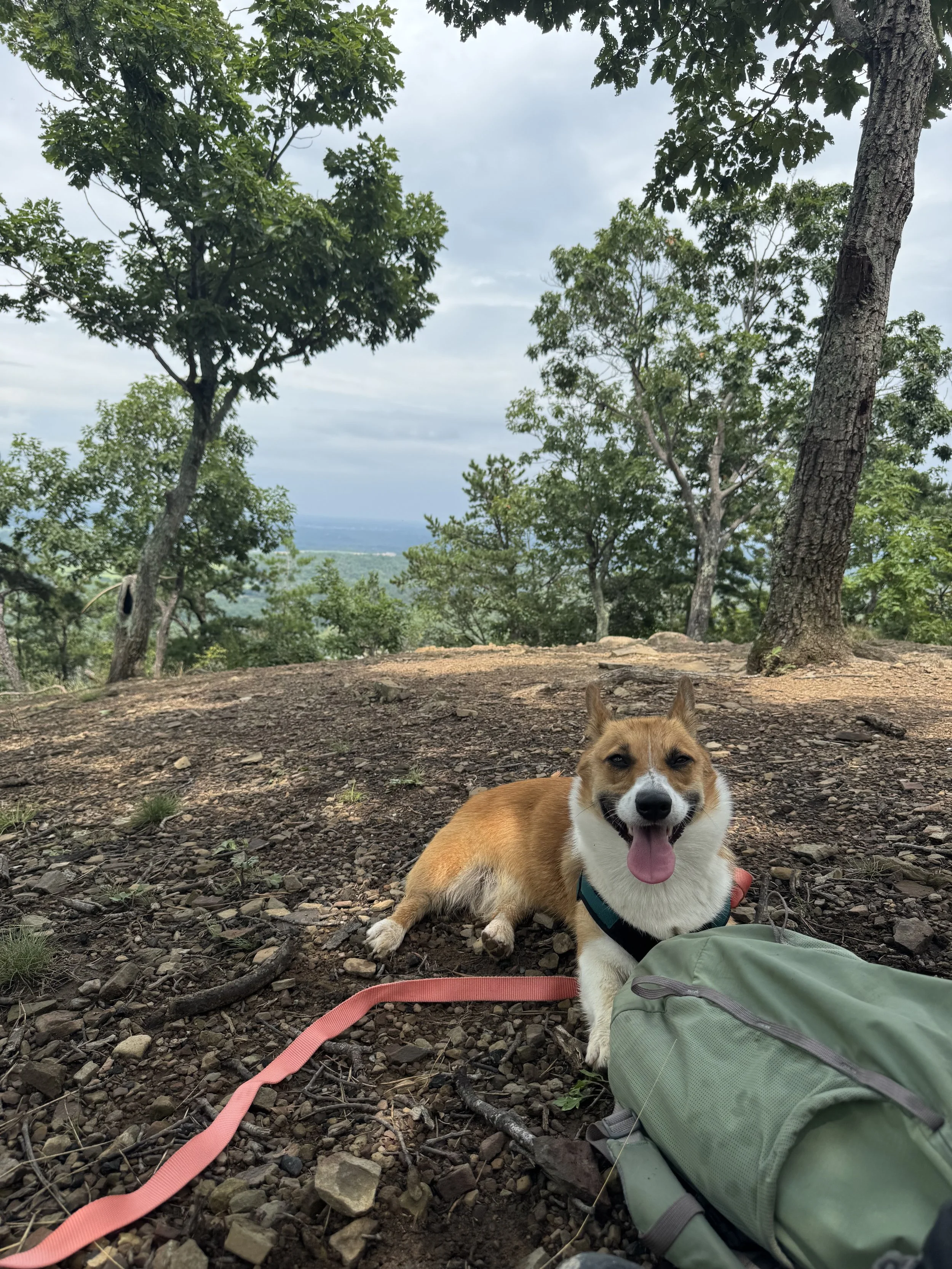 Premium Adventure Walks & Hikes