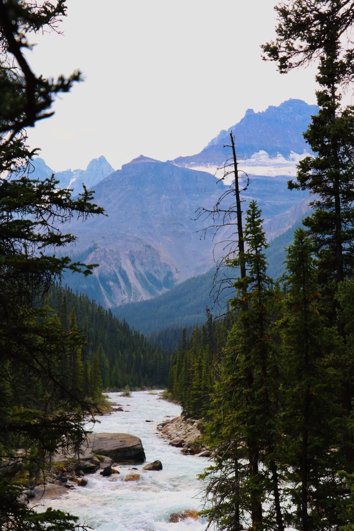 Banff National Park, Alberta, Canada (2024)
