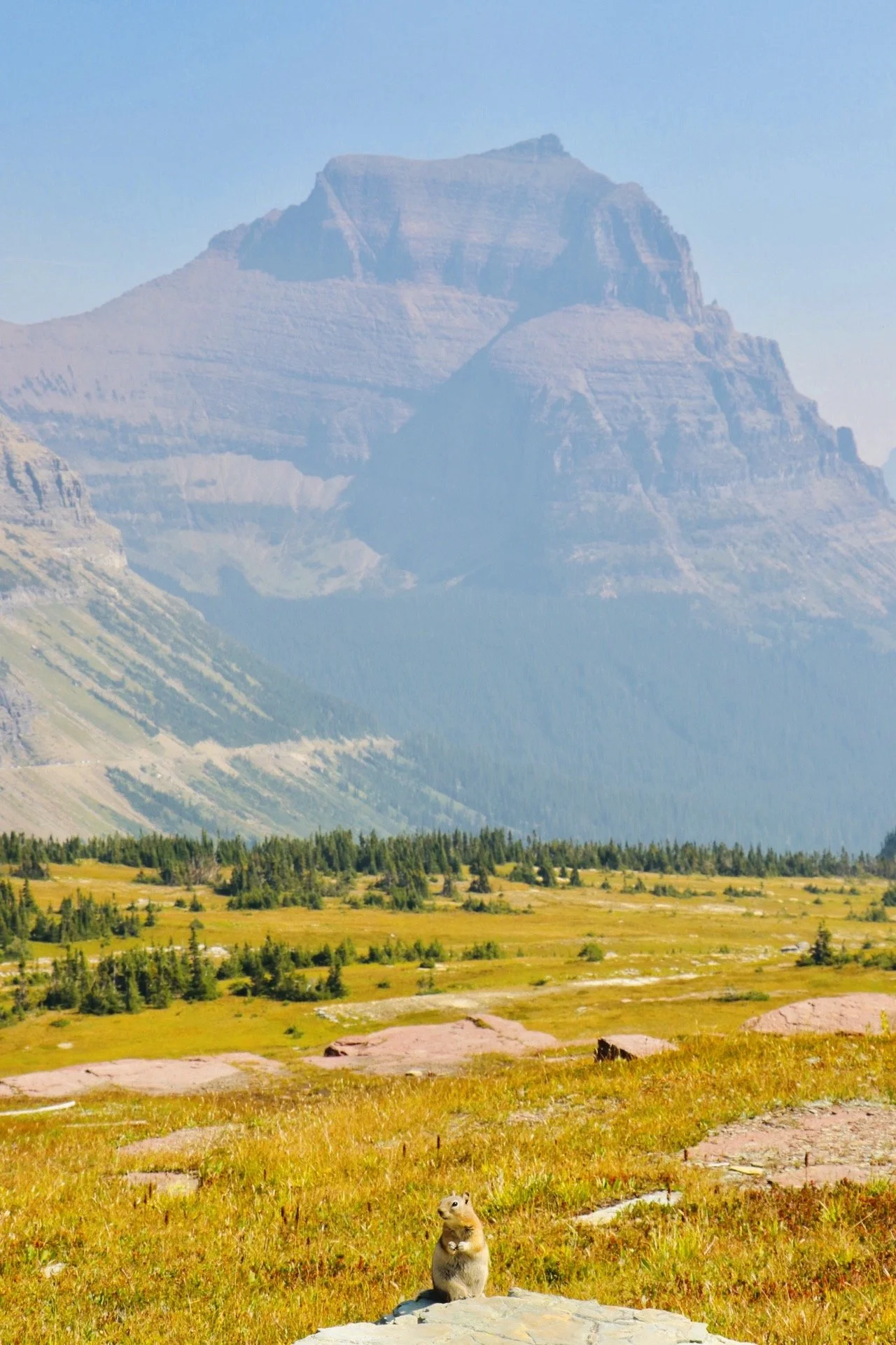 Glacier National Park, Montana (2024)