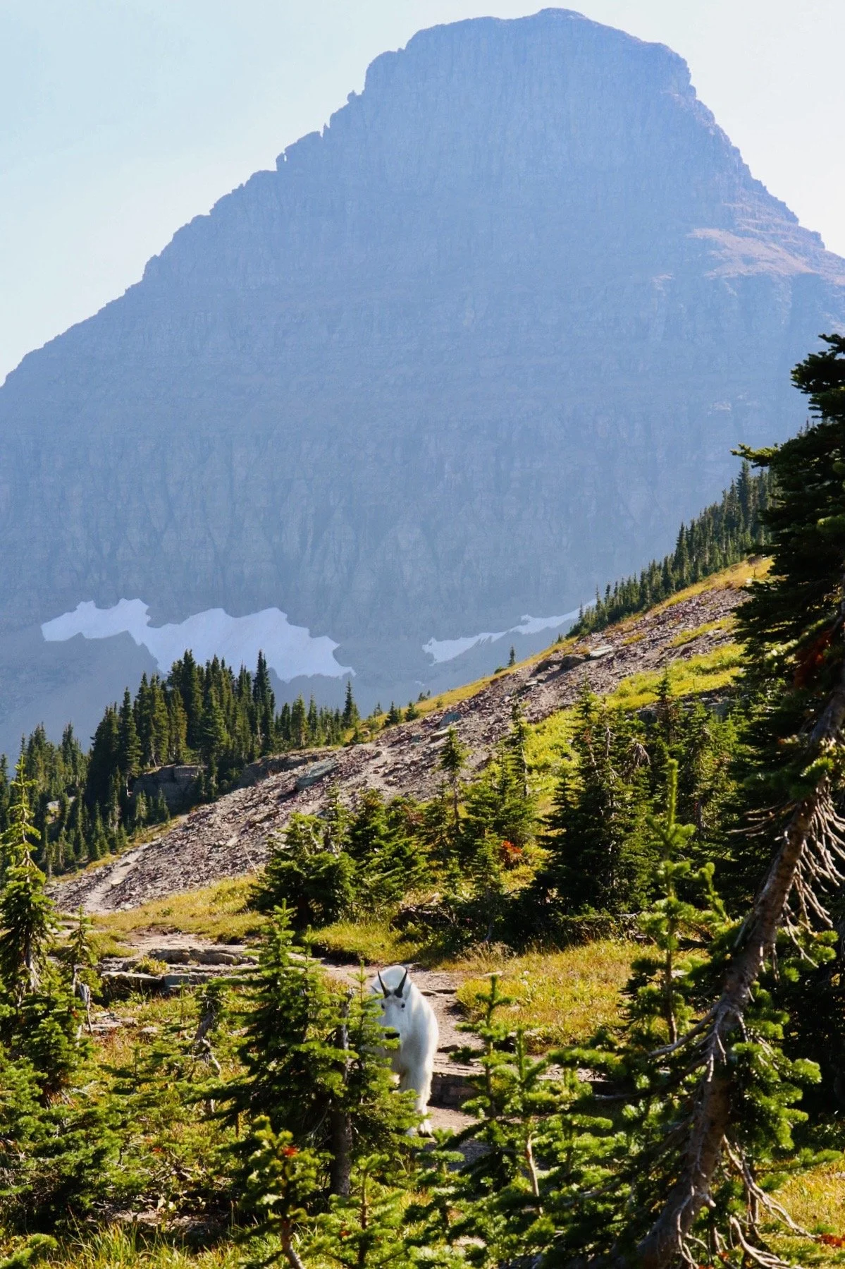 Glacier National Park, Montana (2024)