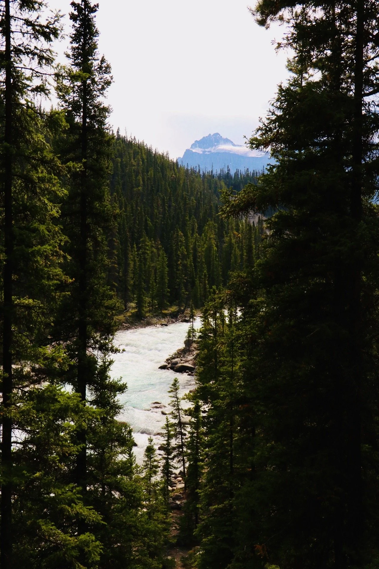 Banff National Park, Alberta, Canada (2024)
