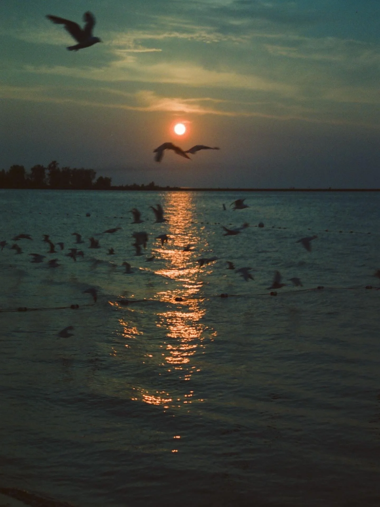 New York, USA (2024)