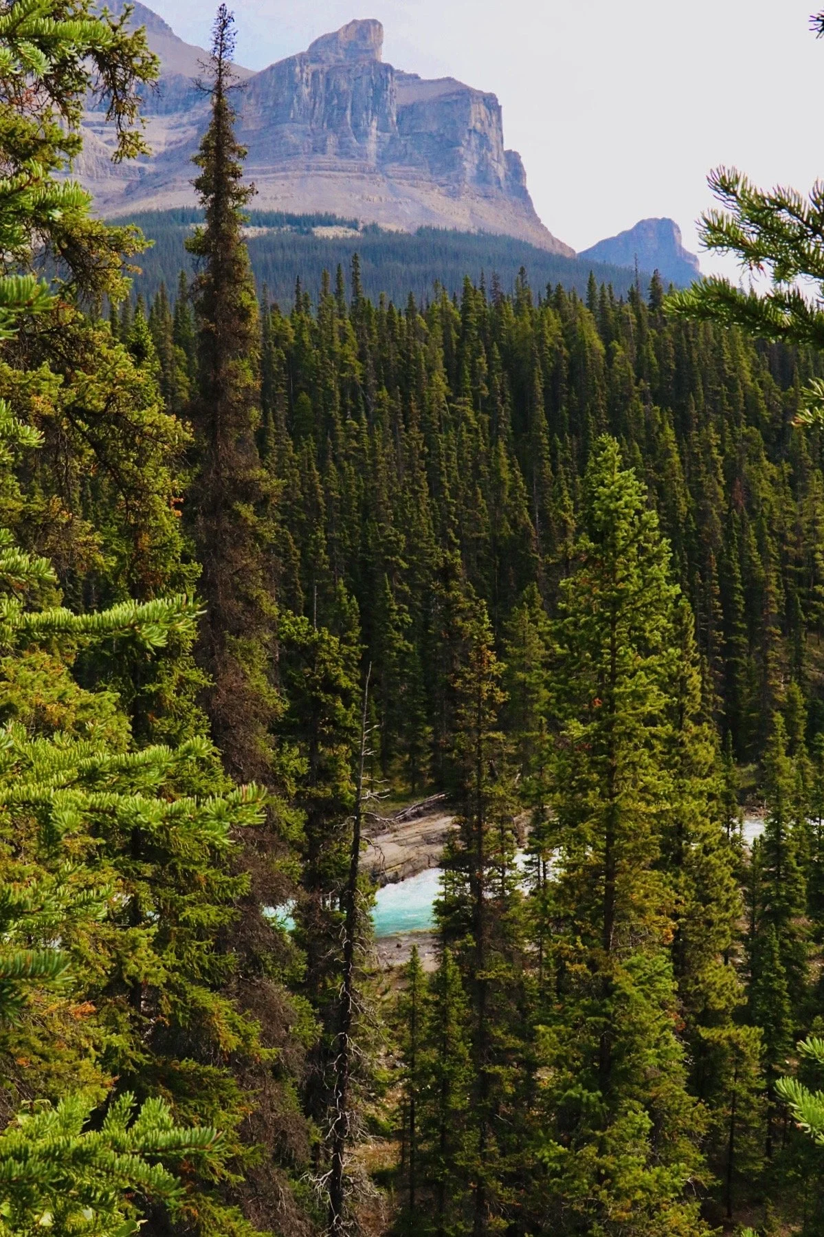 Banff National Park, Alberta, Canada (2024)