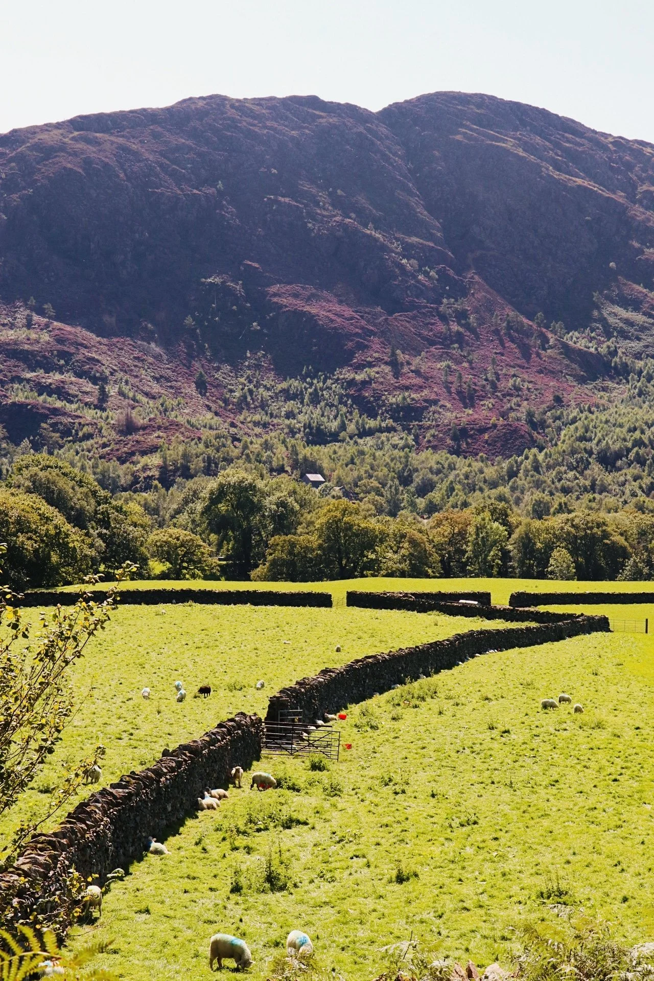 Wales, United Kingdom (2025)
