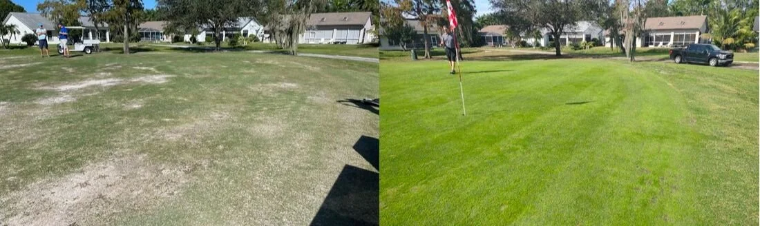 1-riviera-12th-grn-30-days-post-treatment-small.jpg