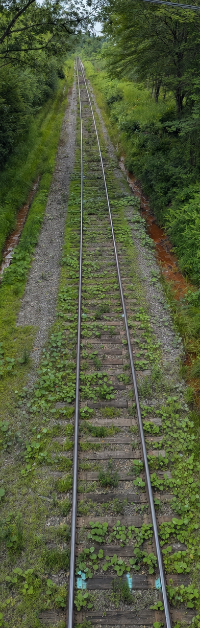 csx-pre_orig.png