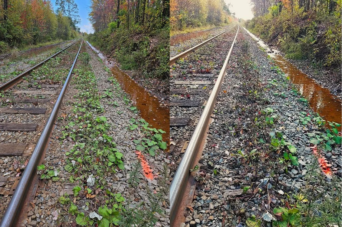 rr-before-after_orig.jpg