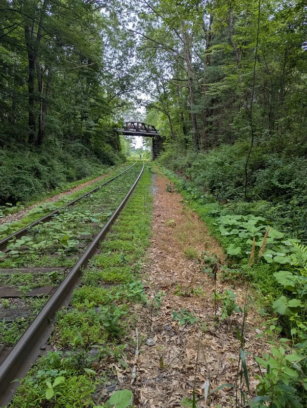 after-w-bridge_orig.jpg