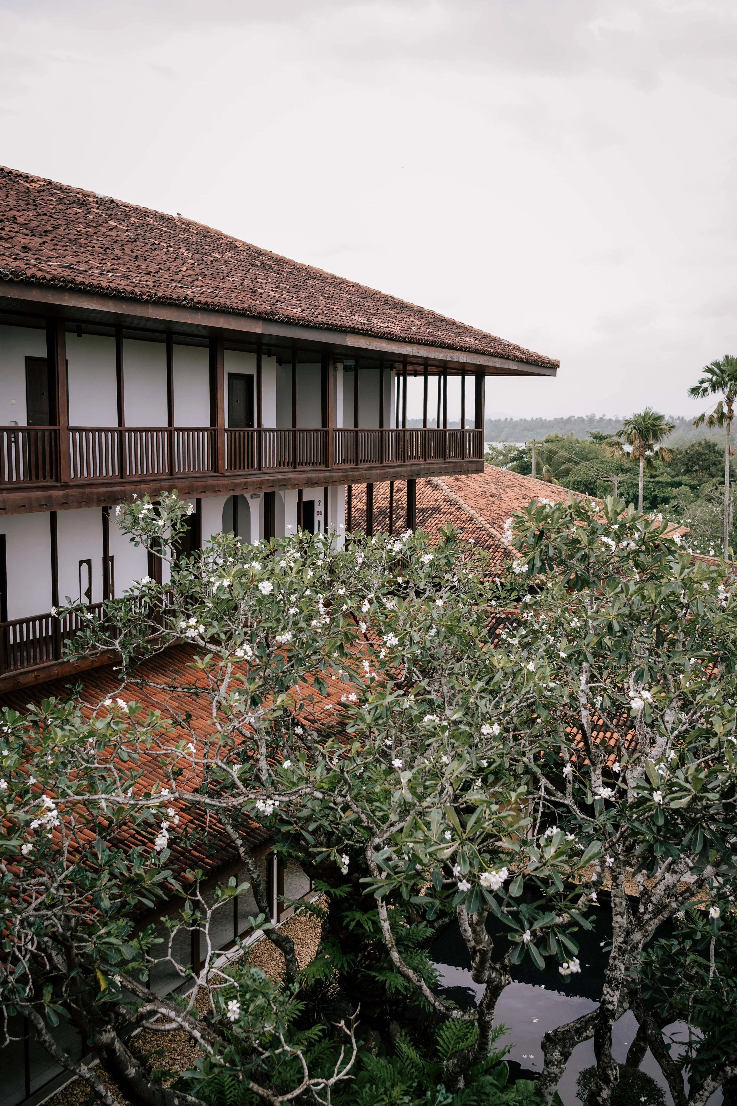An image of Sri Lanka, renowned for its natural sapphires that come in all colours