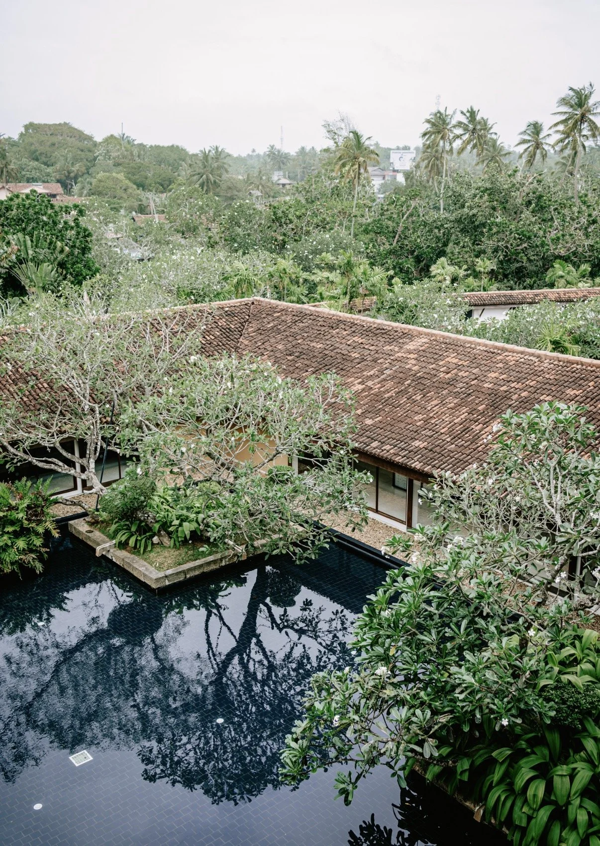A view of a tropical garden with a swimming pool, surrounded by lush trees and a house with a red-tiled roof. In the background, there are more trees and palm trees.
