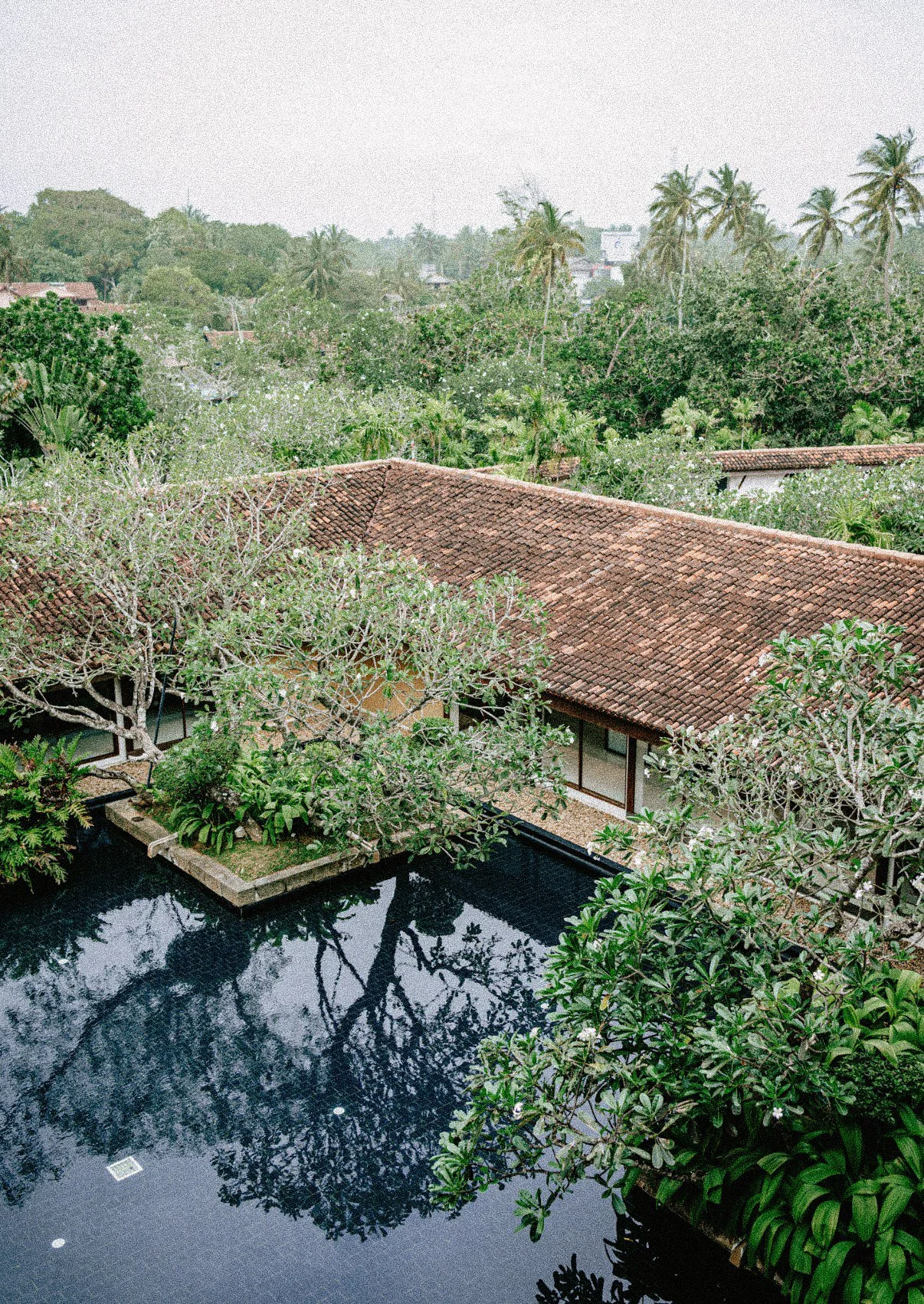 Tropical landscape with trees, a tiled roof building, and a reflecting pool in the foreground.