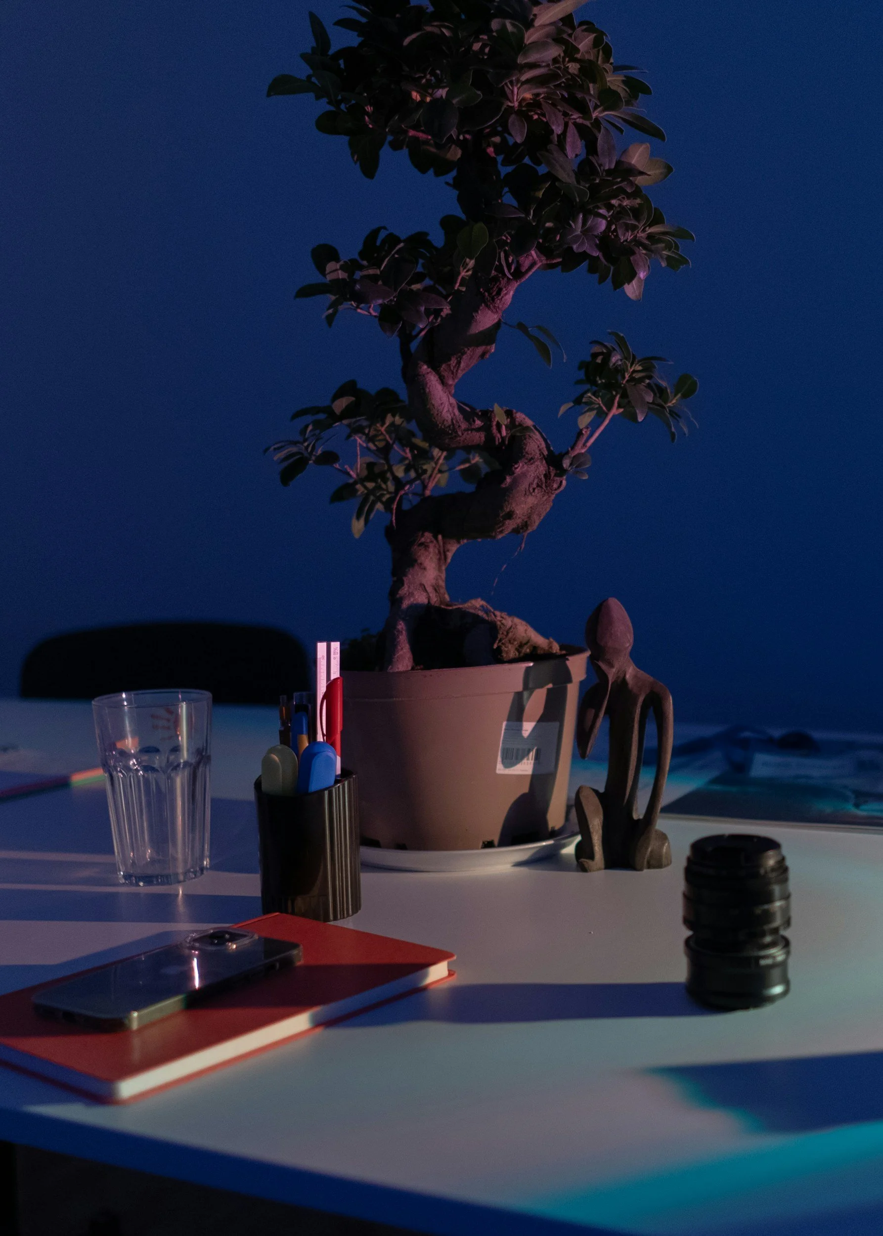 A potted bonsai tree with lush dark green leaves is placed on a table against a dark blue evening or night sky background. The table has various objects including a clear drinking glass, a red notebook, a smartphone, a pen holder with colored pens, a small sculpture, and a stack of black camera lens filters or similar objects. There is soft, possibly natural or ambient lighting illuminating the scene.