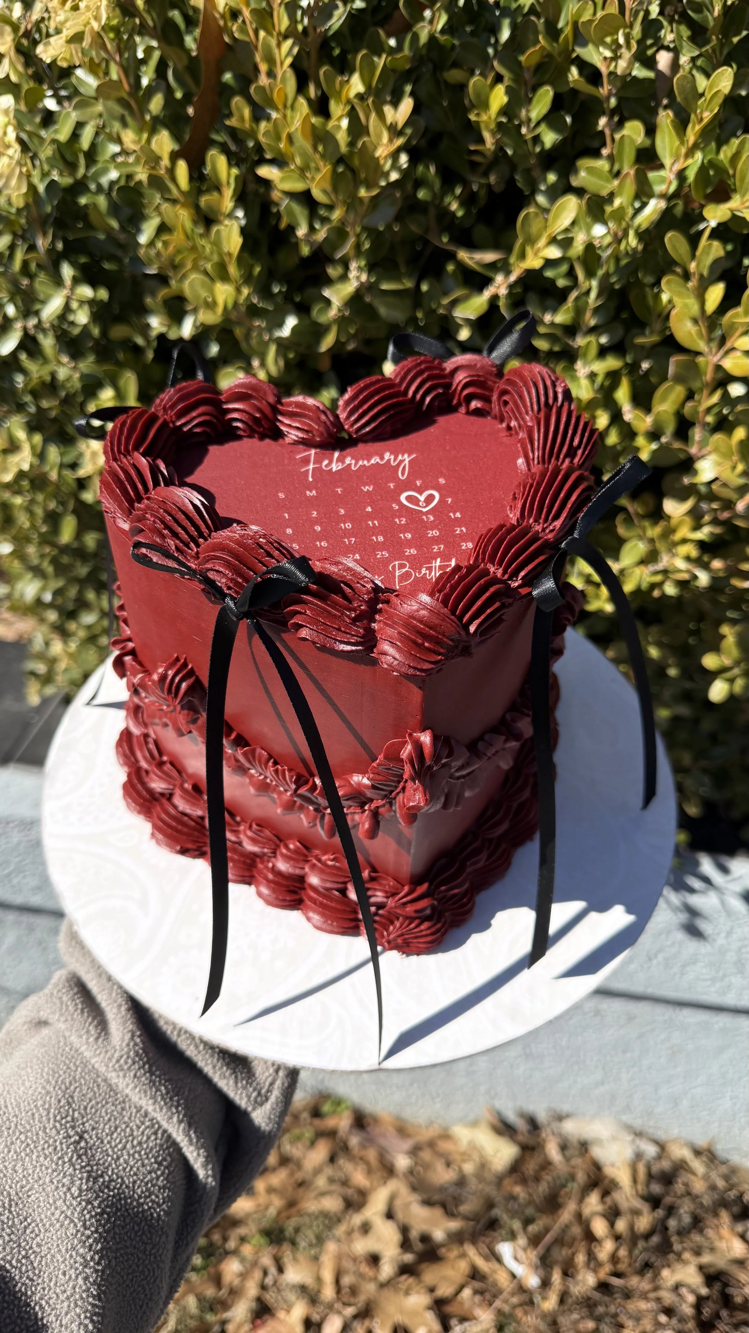 Un pastel en forma de corazón decorado con crema de color rojo oscuro y la parte superior adornada con un calendario de febrero, con una circunferencia blanca de fondo y un arbusto verde en el fondo.