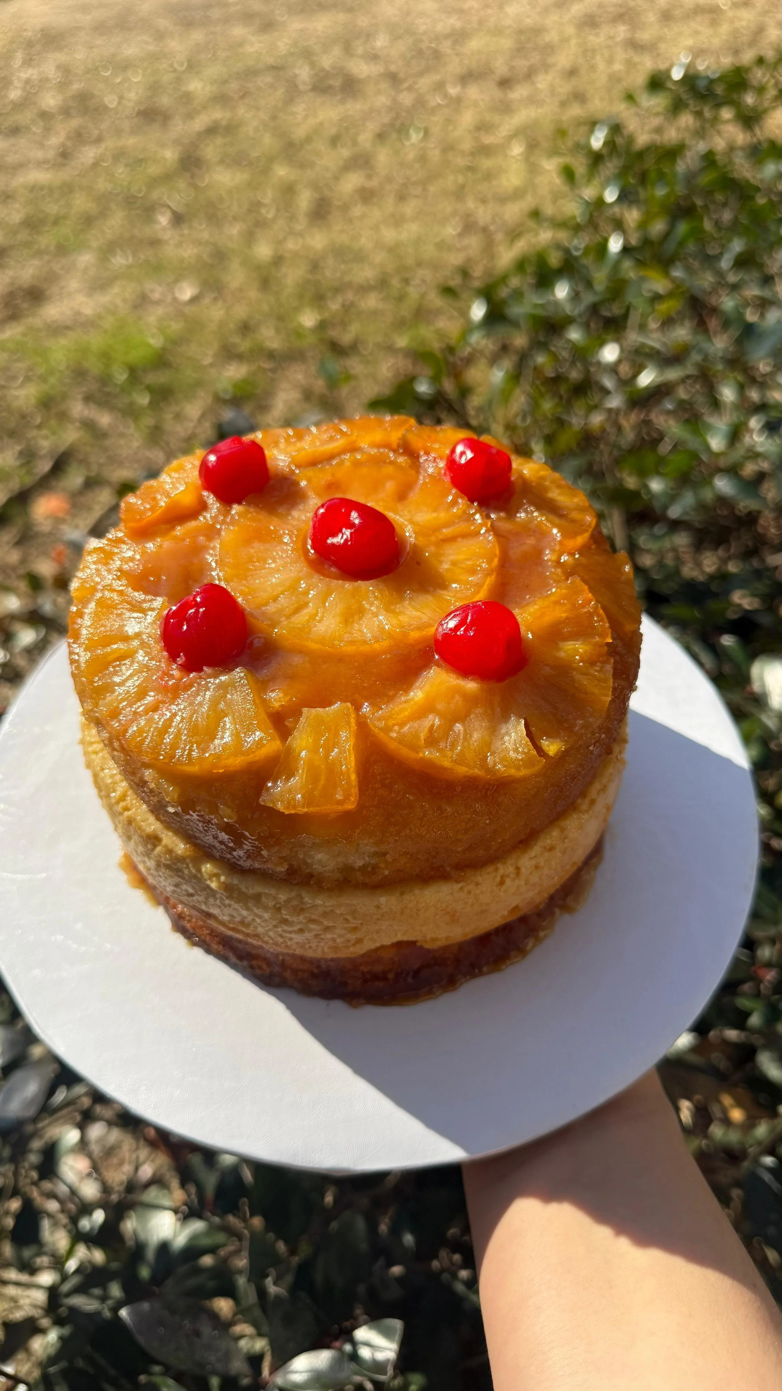 Tarta decorada con rodajas de piña y cerezas rojas en la parte superior, sostenida con la mano en un fondo de césped y arbustos.