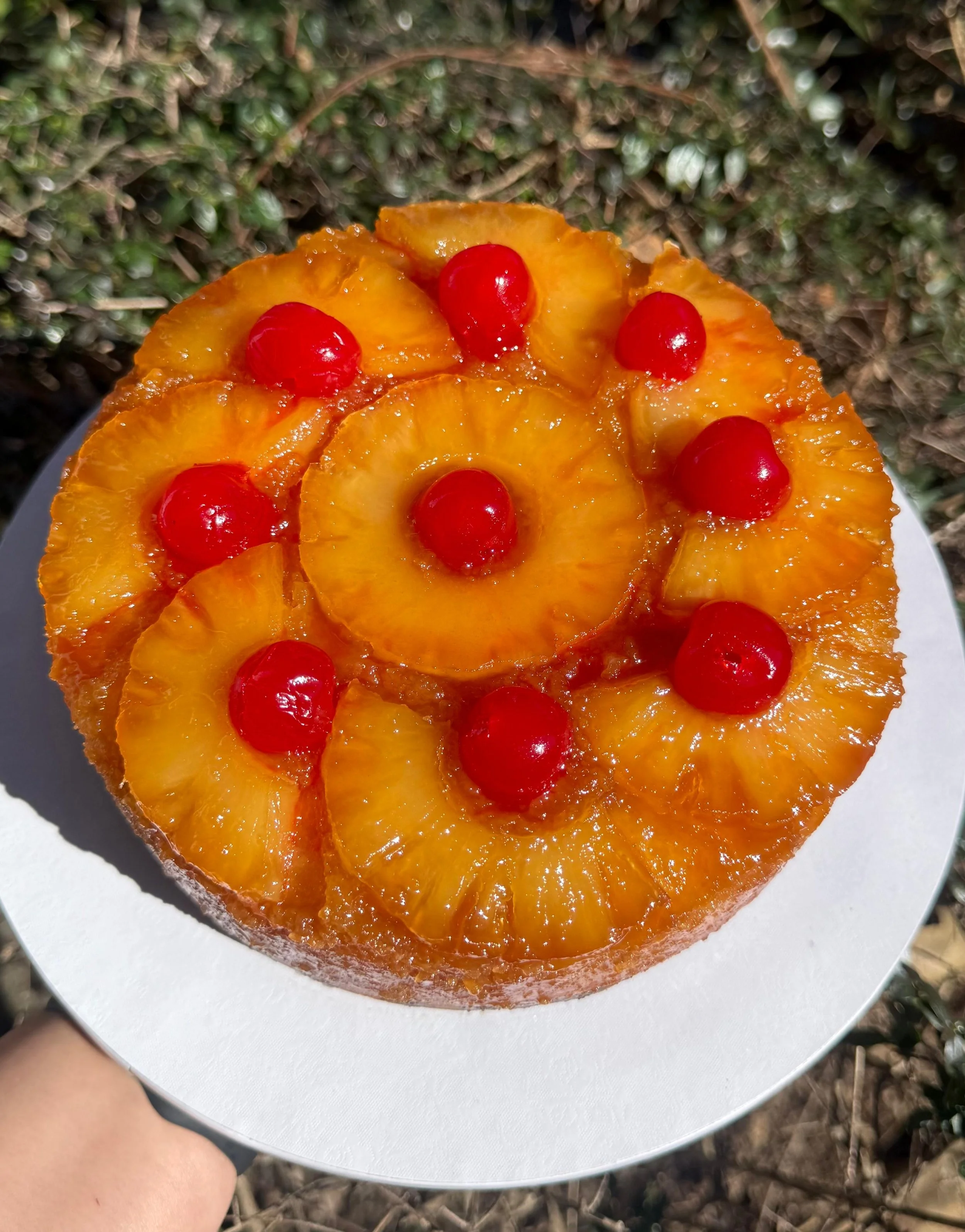 Pastel de frutas con rodajas de durazno y cerezas rojas en la parte superior. Parte del pastel está en un plato blanco y el fondo muestra tierra y plantas verdes.