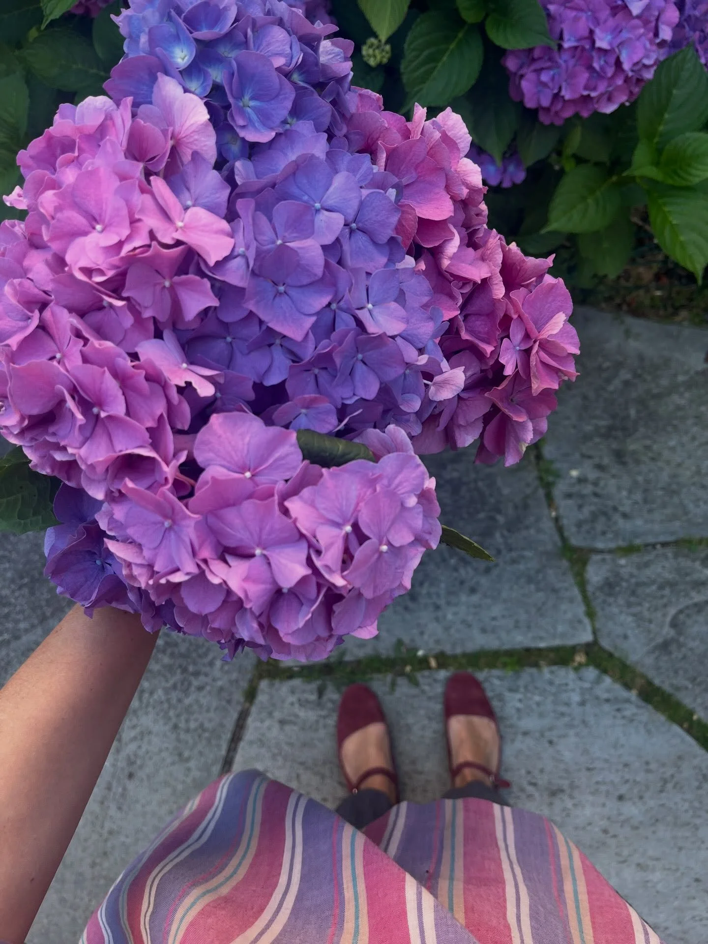 🌸💞💅🏻