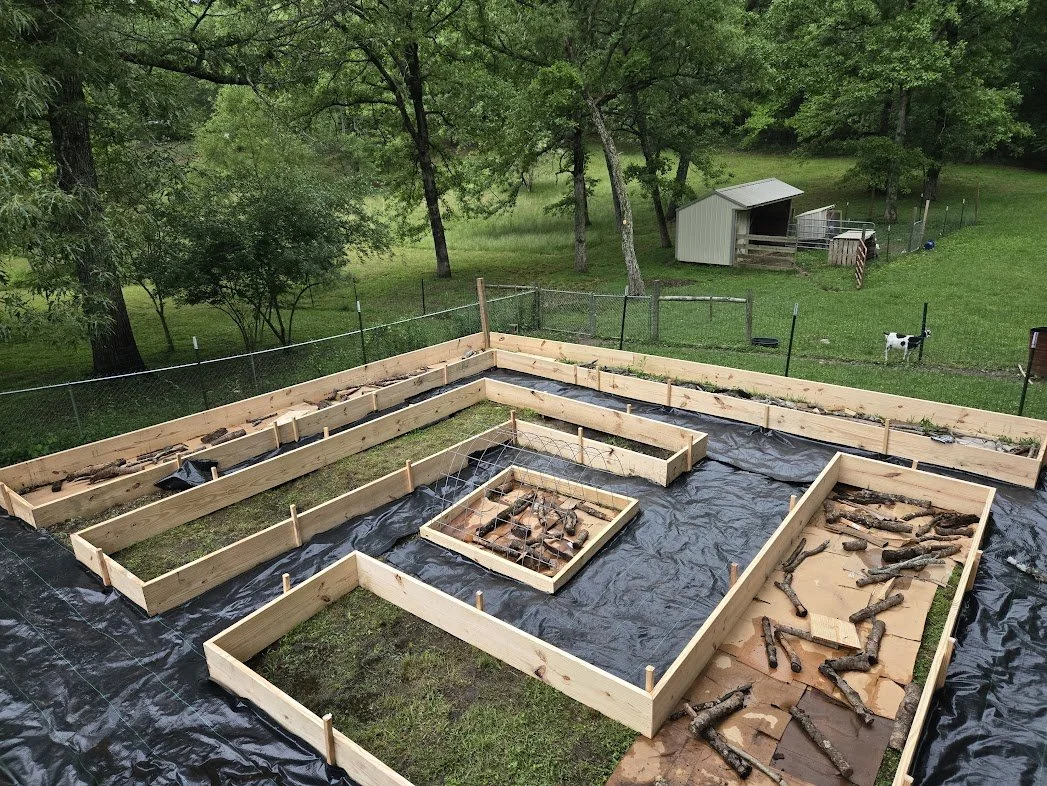 Wooden garden bed frames under construction on a black weed barrier, with sticks and bricks nearby. A backyard with trees, a shed, and a dog is visible in the background.