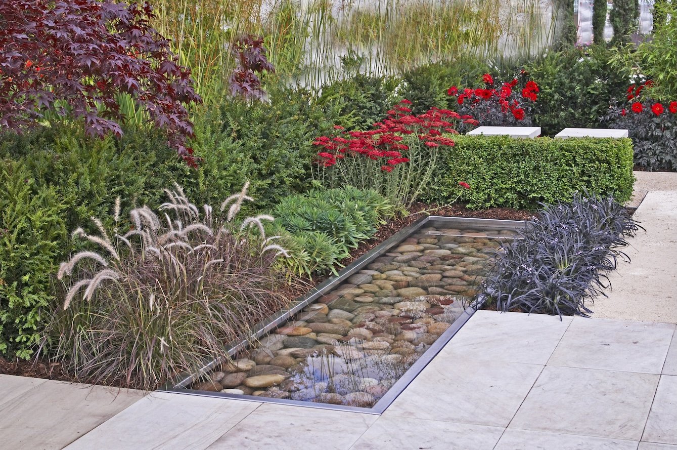 water_and_plants.jpg